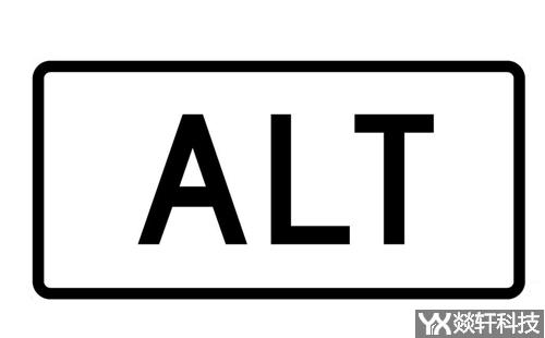 Alt標(biāo)簽 Alt標(biāo)簽