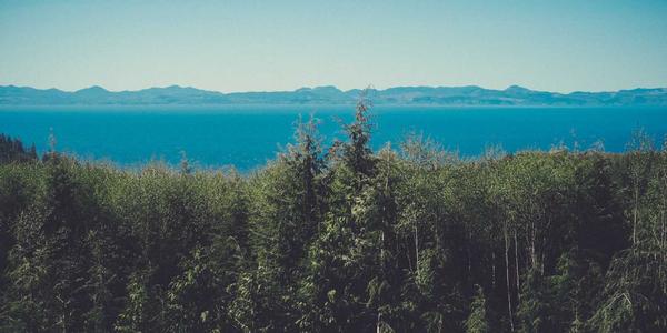 開發一個樂譜共享程序要注意什么